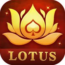 teen patti vingo app download